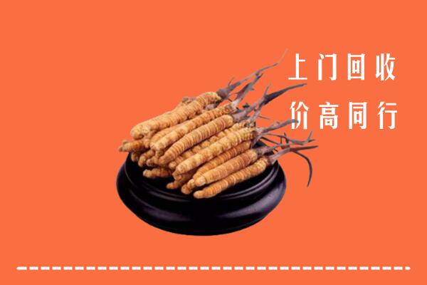 高价求购：行唐县回收散虫草