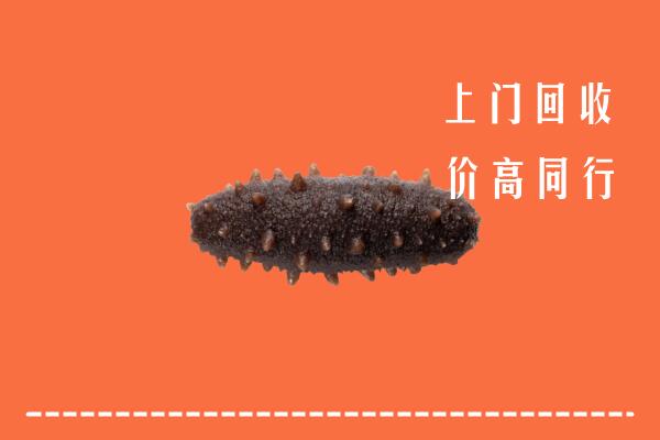 高价求购：行唐县回收海参
