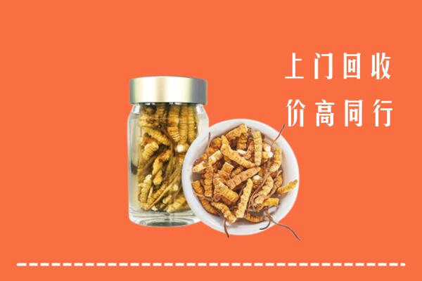 行唐县回收冬虫夏草